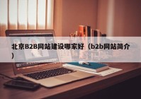 北京B2B网站建设哪家好（b2b网站简介）