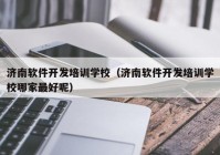 济南软件开发培训学校（济南软件开发培训学校哪家最好呢）