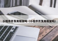 小程序开发用框架吗（小程序开发用框架吗）