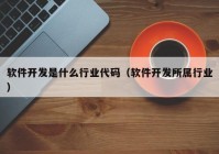 软件开发是什么行业代码（软件开发所属行业）