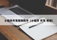 小程序开发视频教学（小程序 开发 教程）