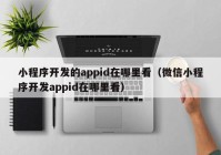 小程序开发的appid在哪里看（微信小程序开发appid在哪里看）