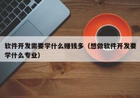 软件开发需要学什么赚钱多（想做软件开发要学什么专业）